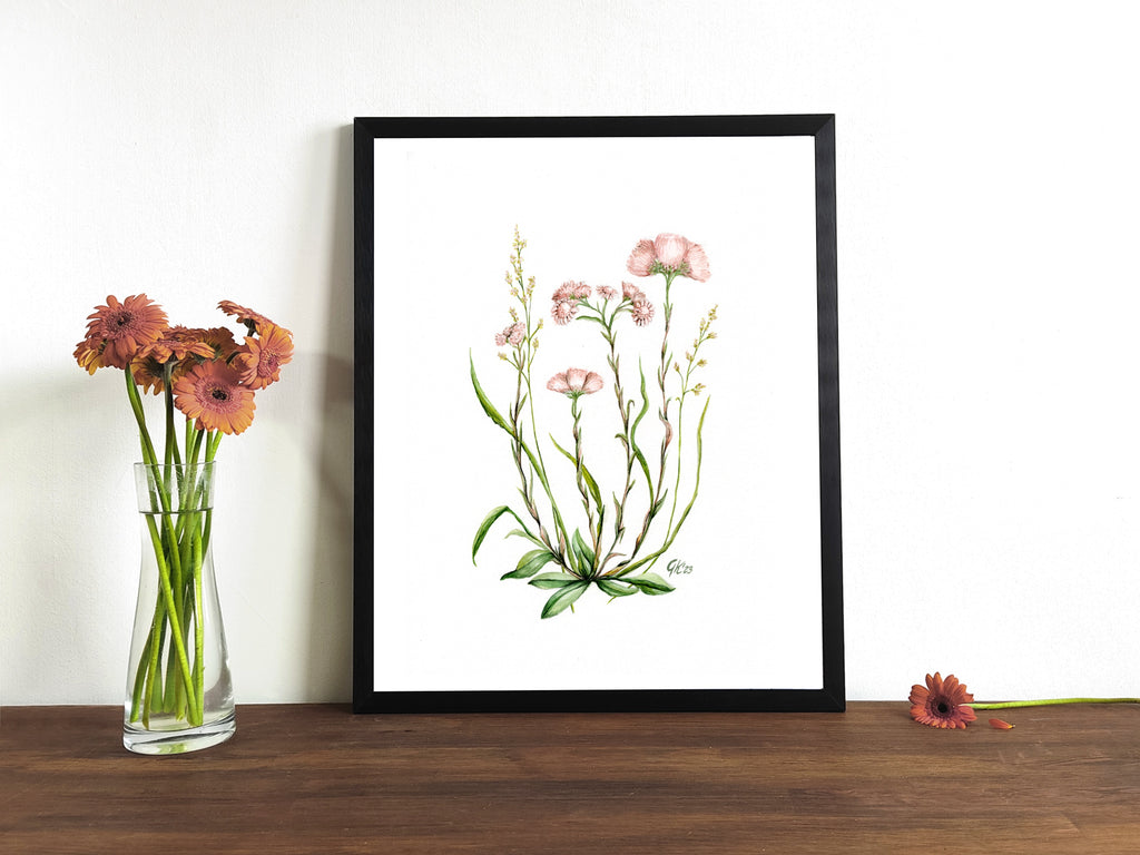 Katzenpfötchen - Fine Art Print | A3 | A4