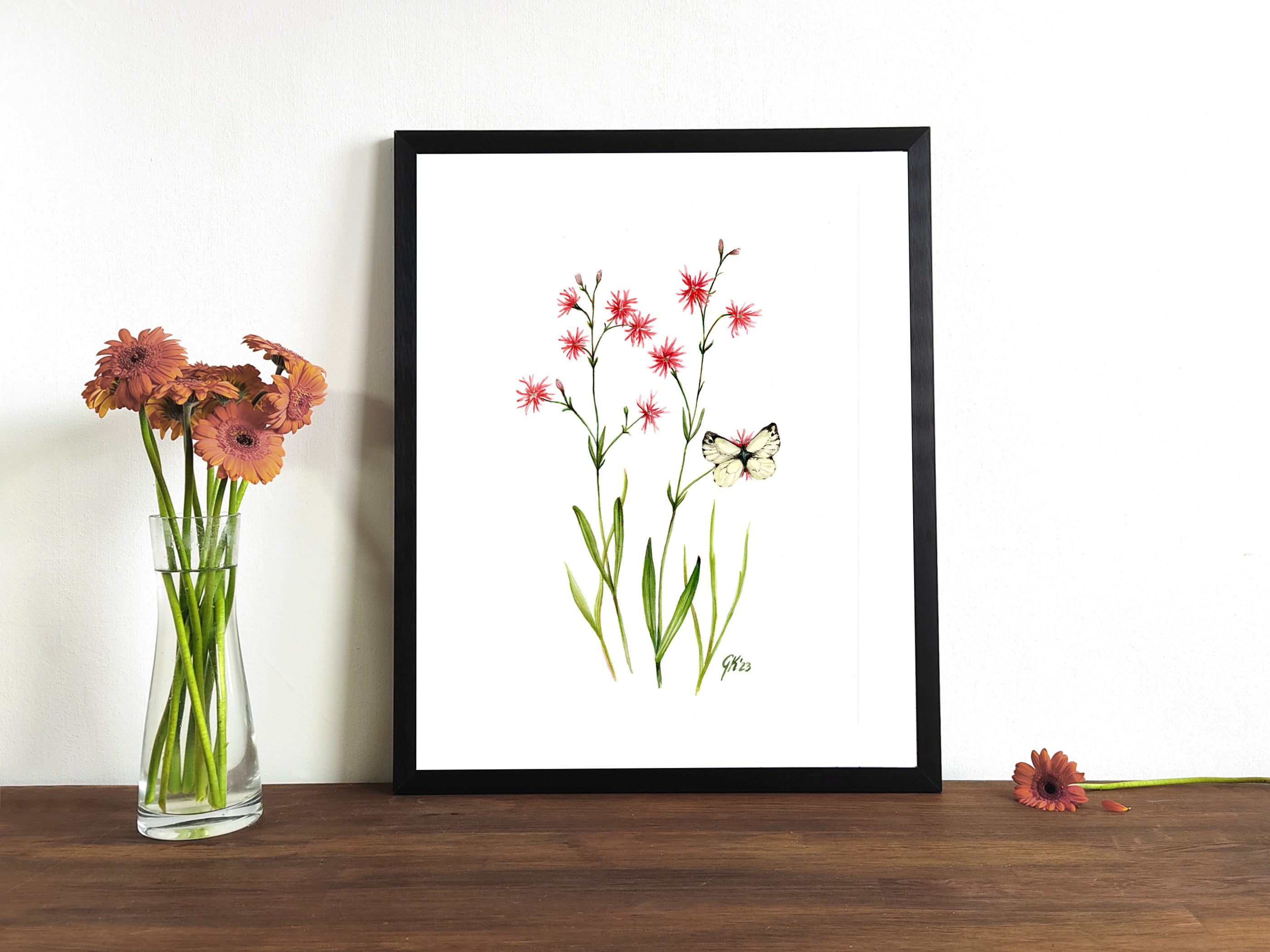 Kuckucks Lichtnelke - Fine Art Print | A3 | A4