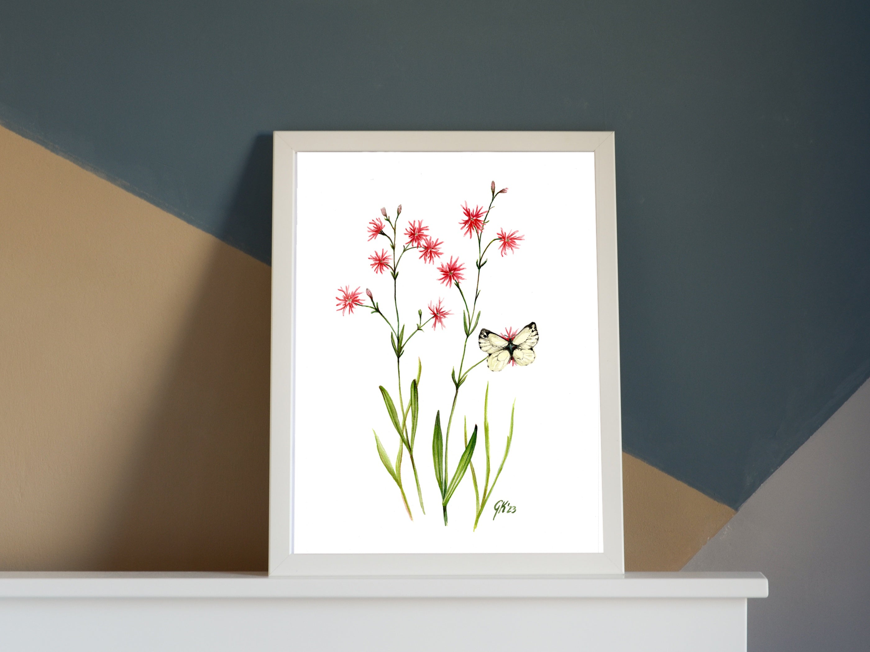 Kuckucks-Lichtnelke | Aquarell