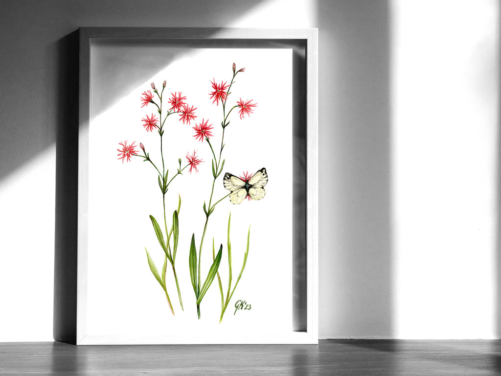 Kuckucks Lichtnelke - Fine Art Print | A3 | A4