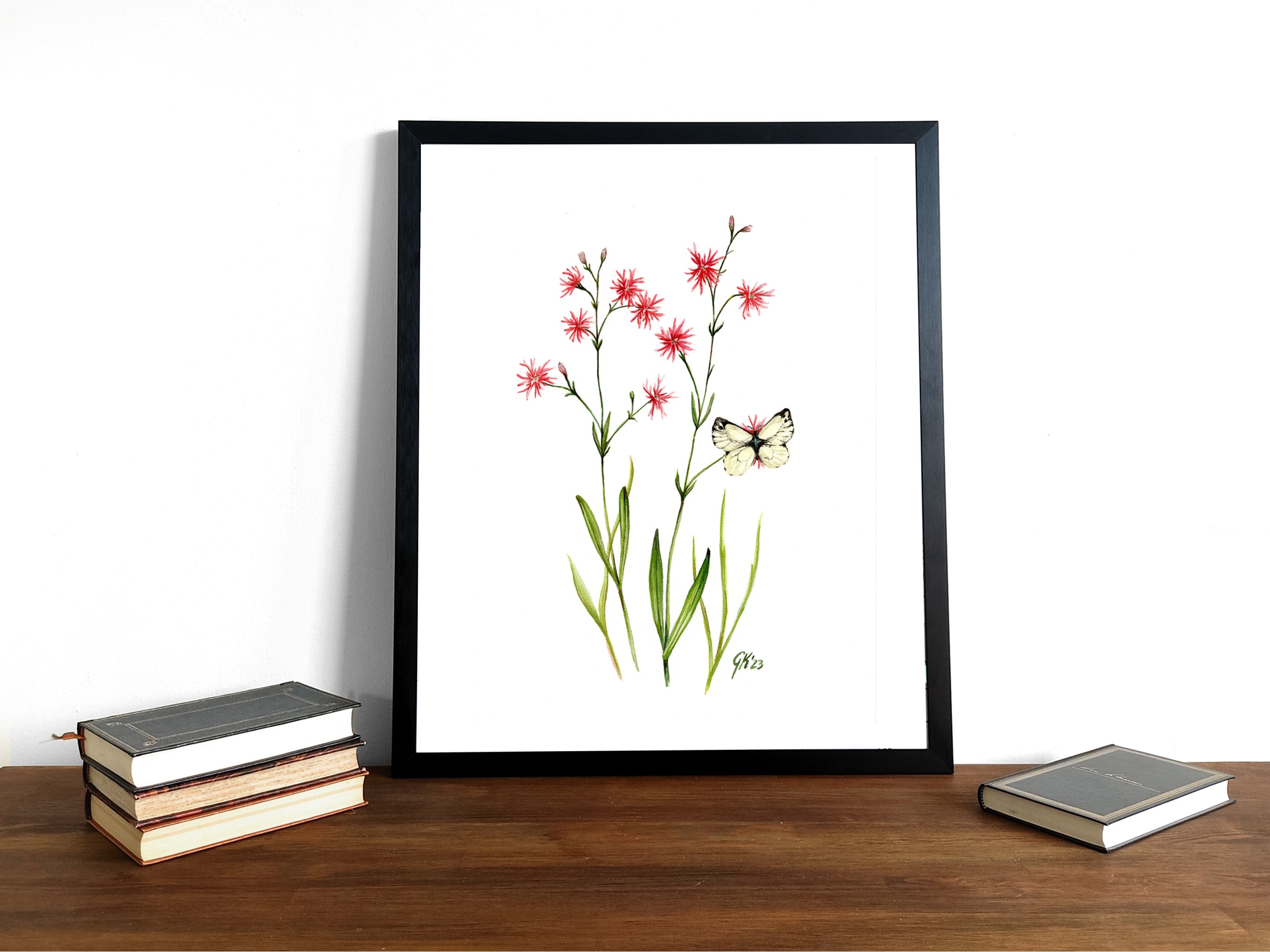 Kuckucks Lichtnelke - Fine Art Print | A3 | A4