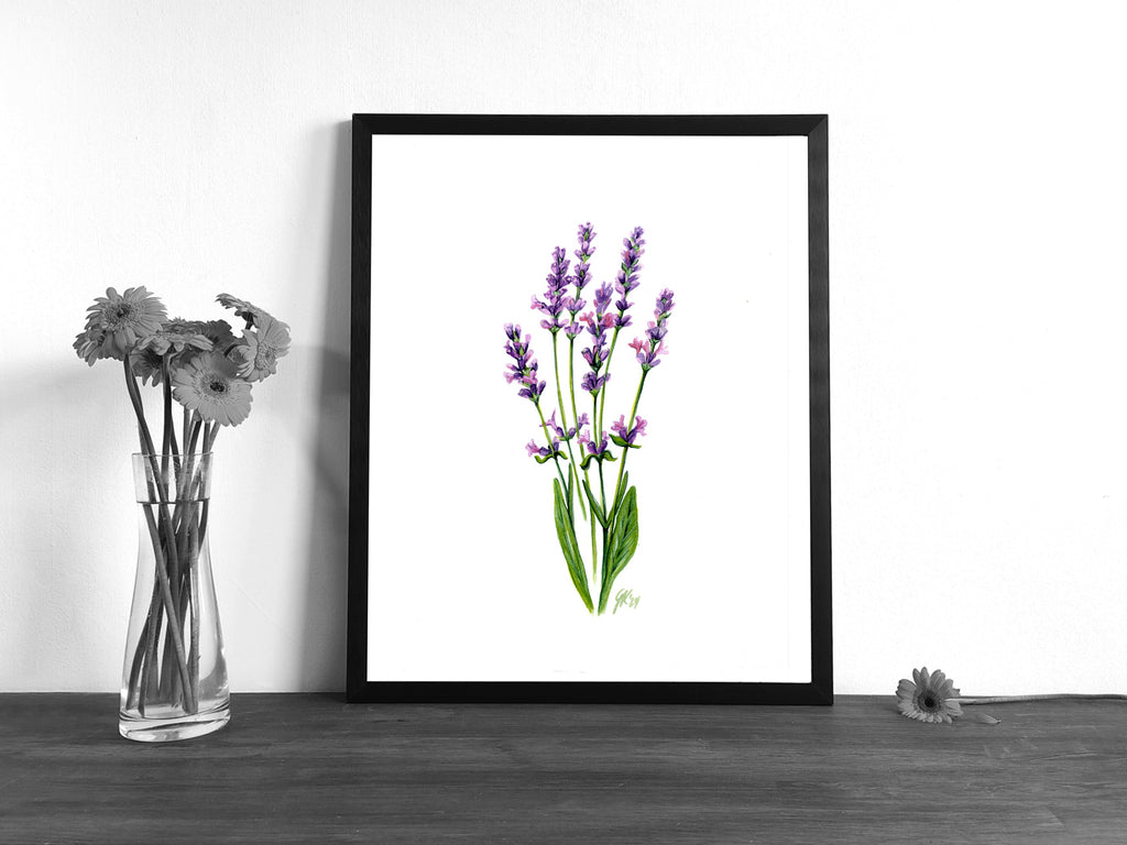 Lavendel | Aquarell