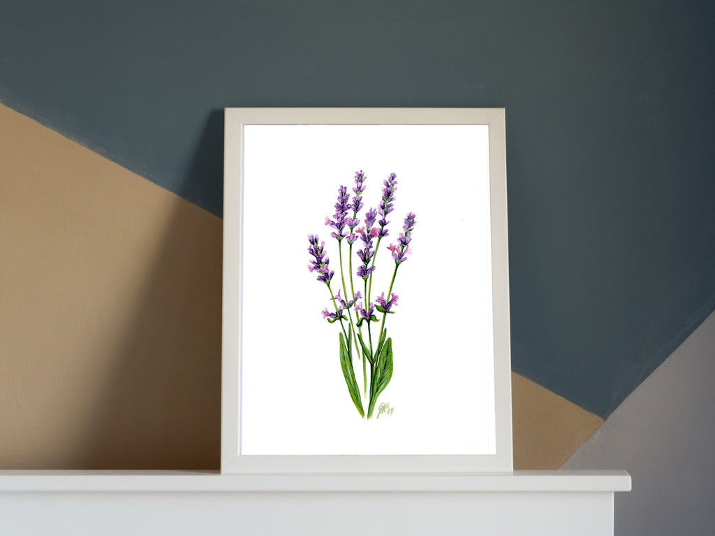 Lavendel | Aquarell