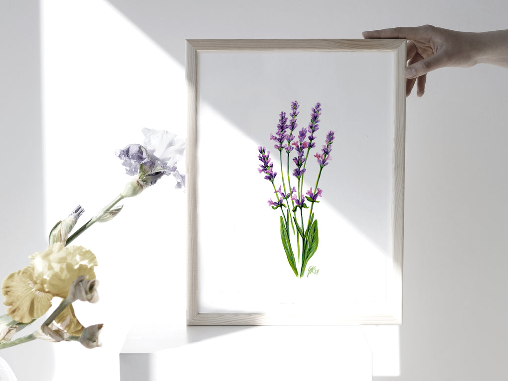 Lavendel | Aquarell