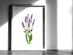 Lavendel | Aquarell