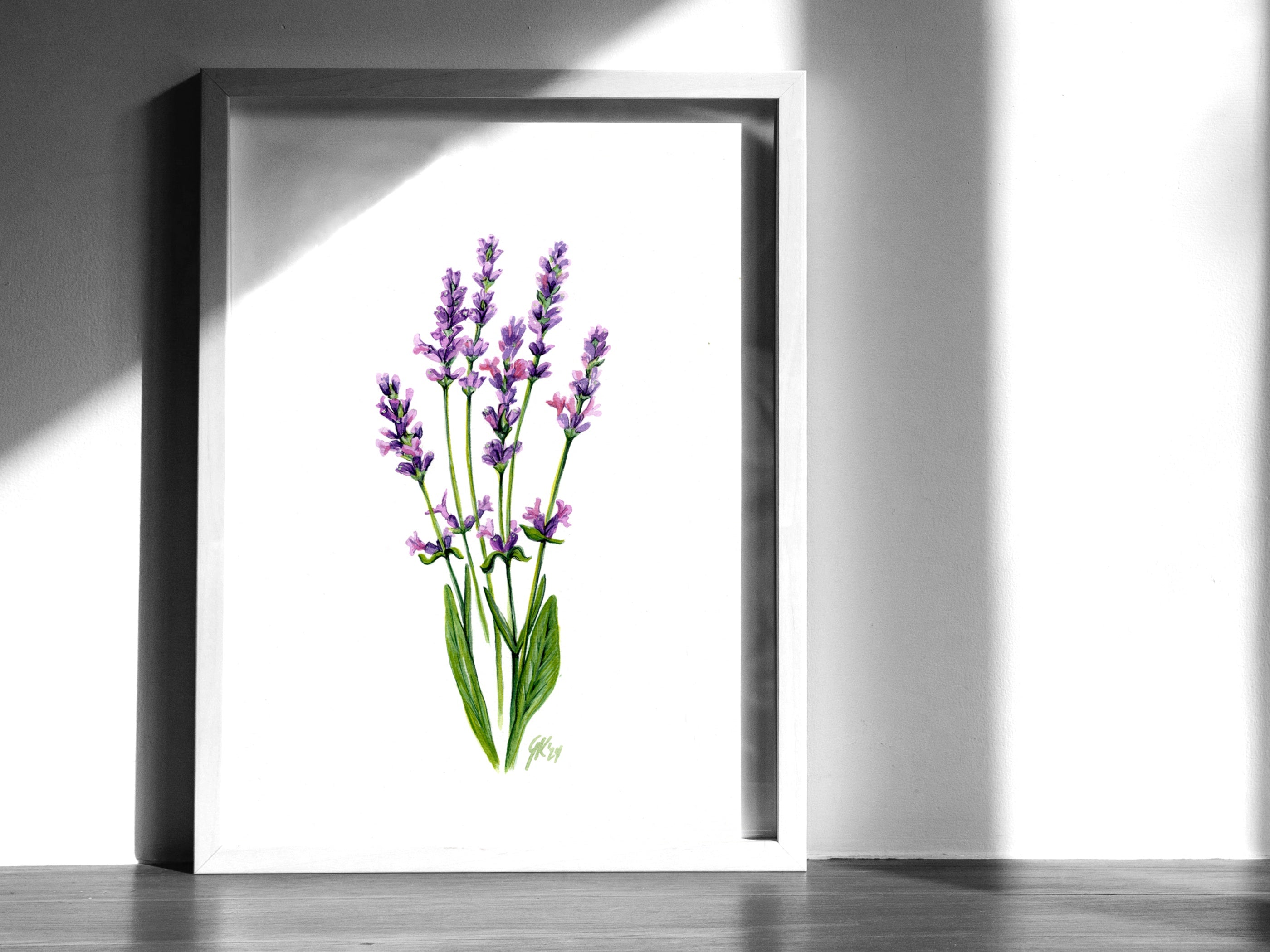 Lavendel | Aquarell