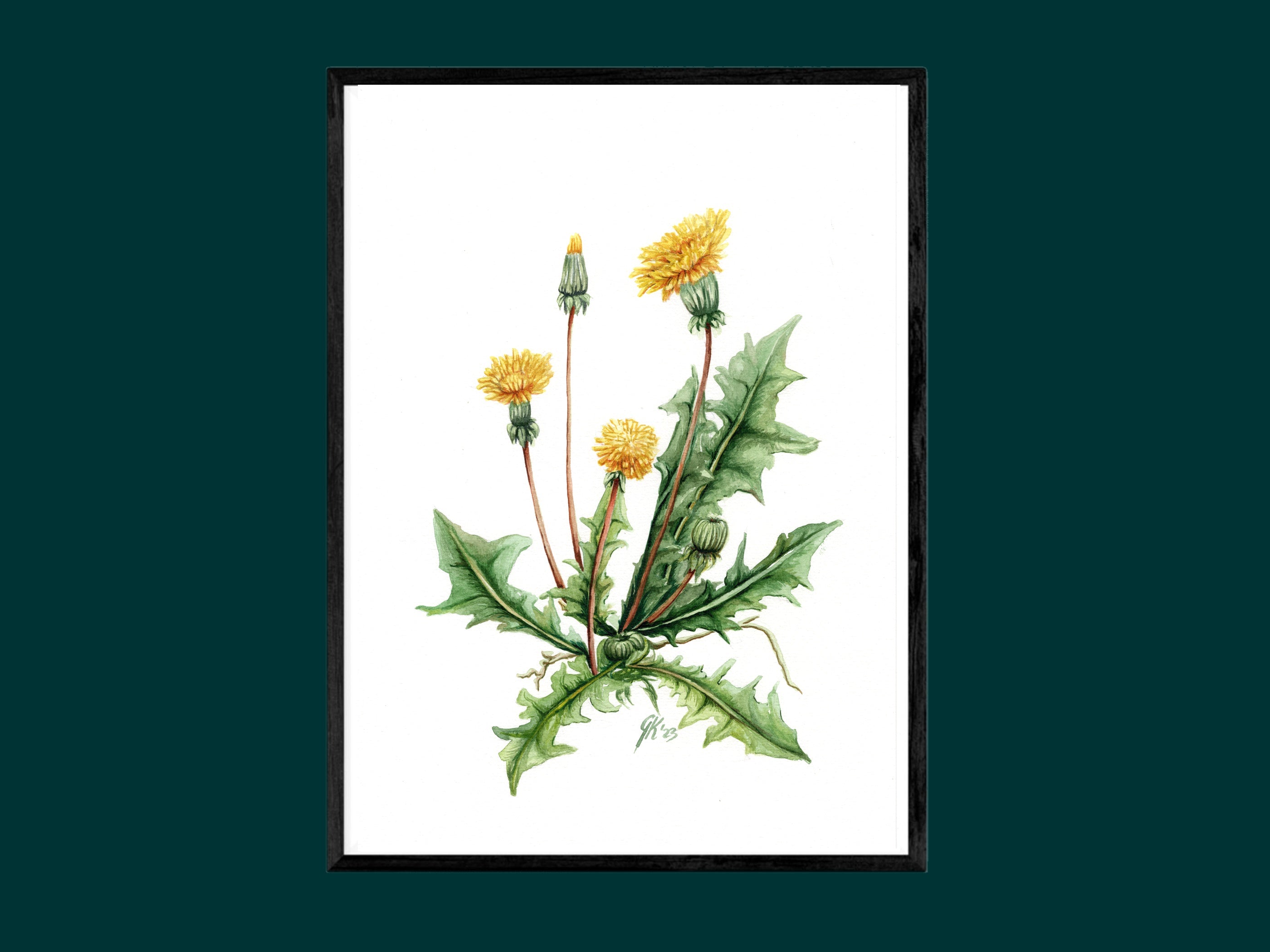 Löwenzahn - Fine Art Print | A3 | A4
