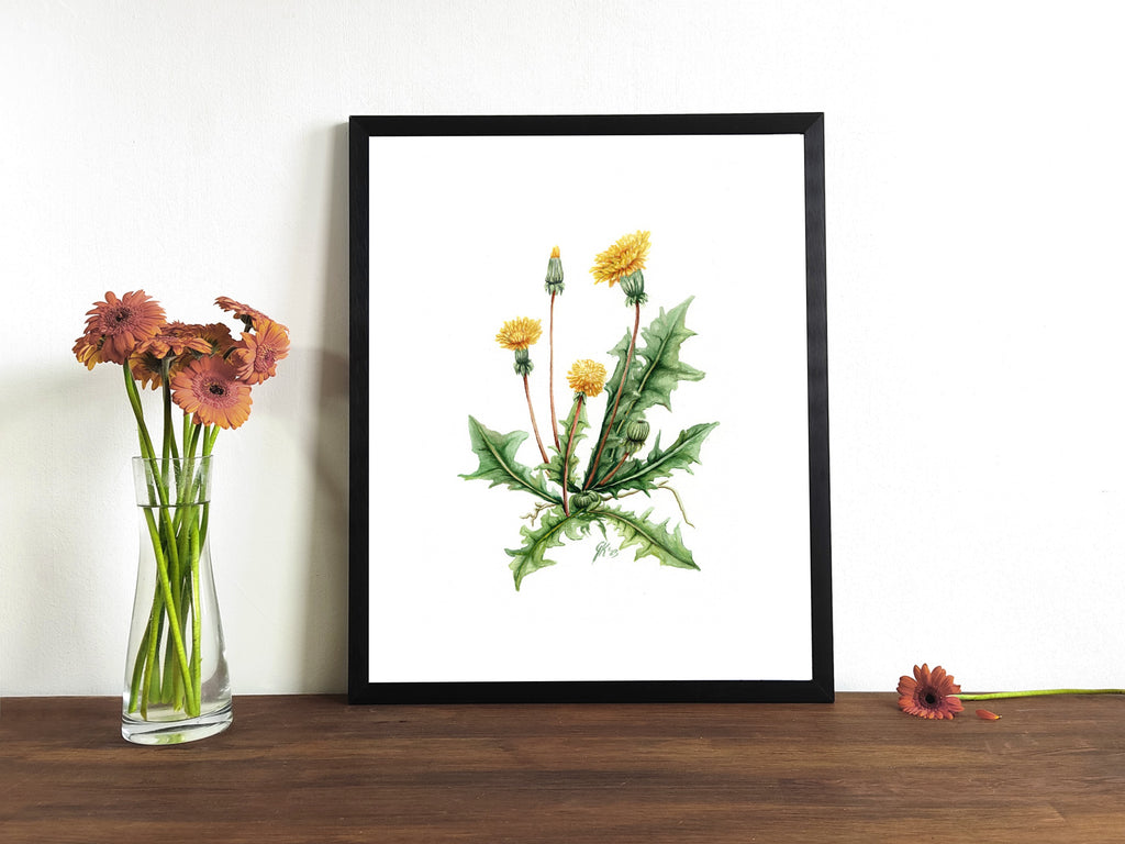 Löwenzahn - Fine Art Print | A3 | A4