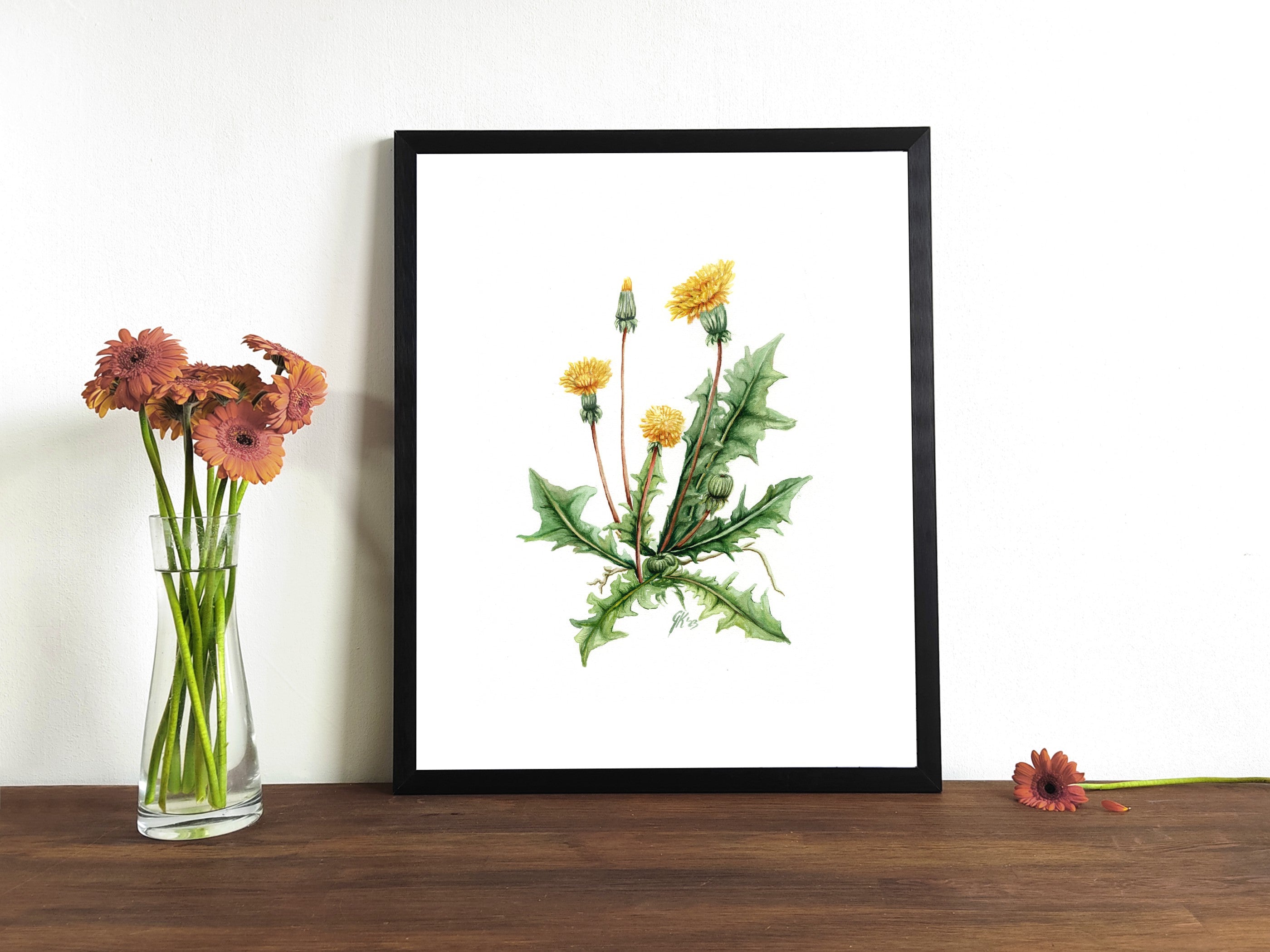 Löwenzahn - Fine Art Print | A3 | A4