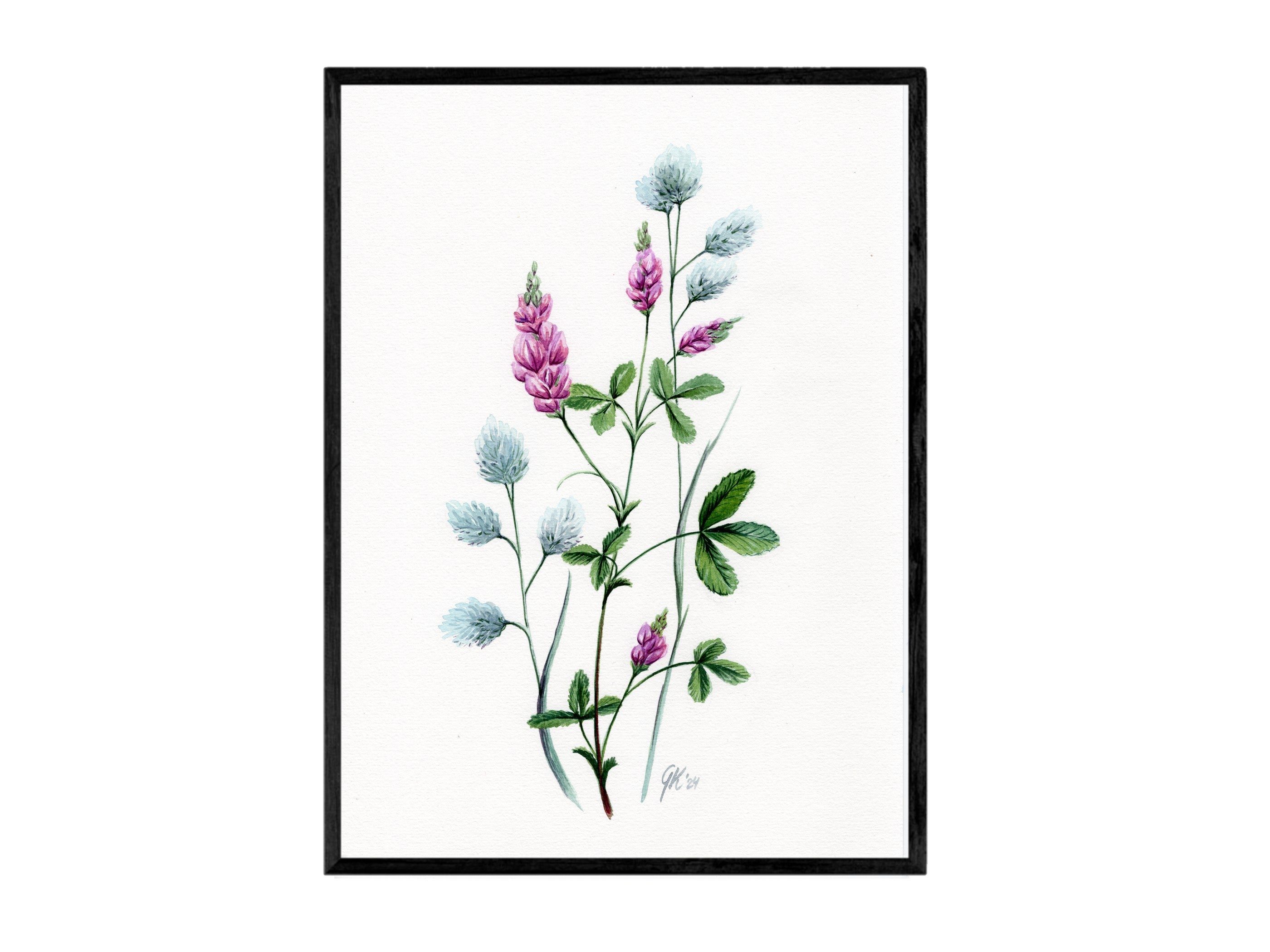Luzerne | Aquarell