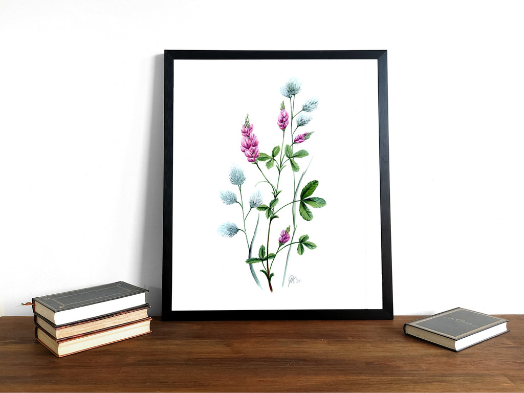 Luzerne | Aquarell