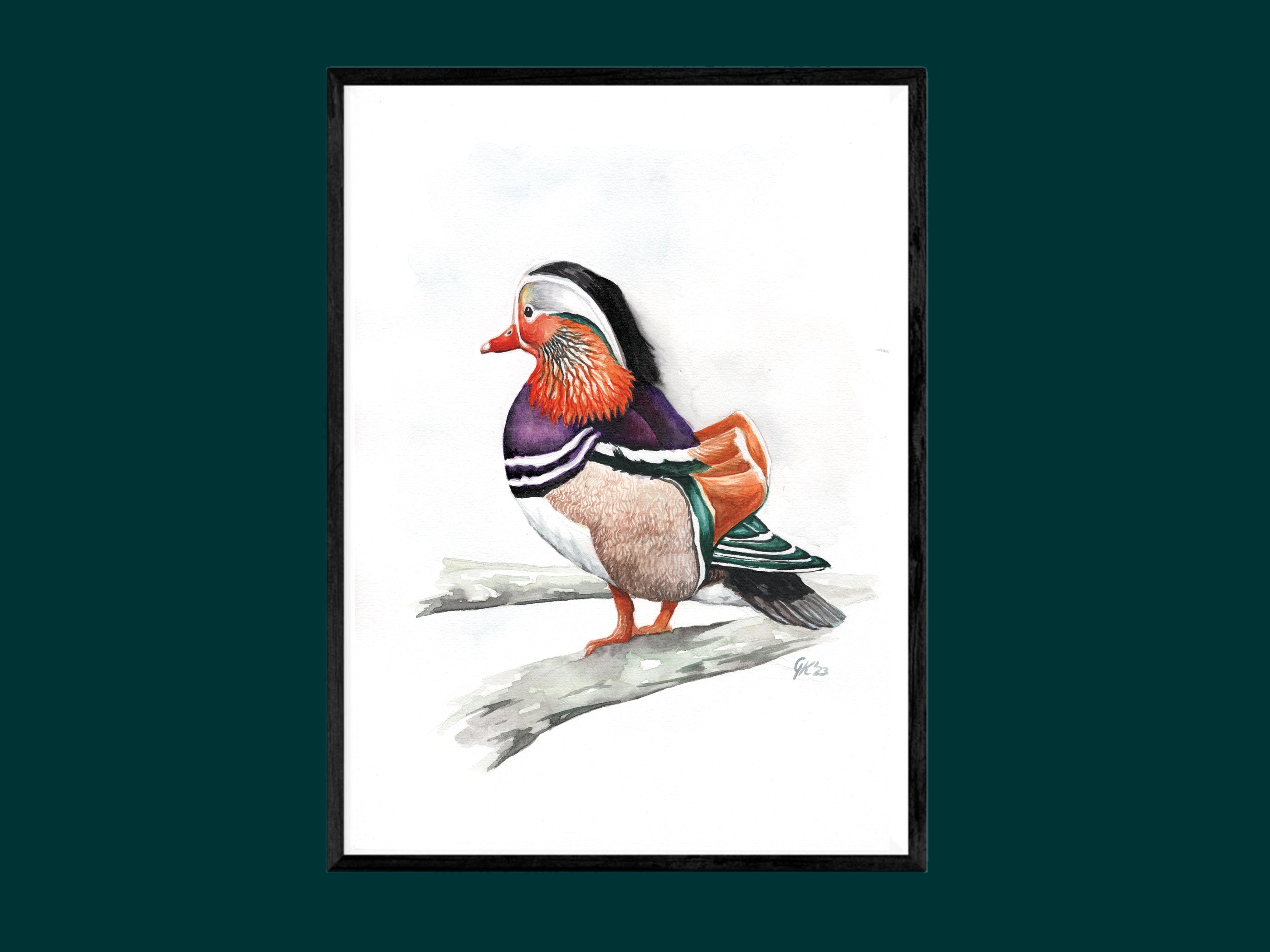 Mandarinente | Aquarell