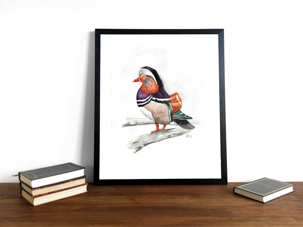 Mandarinente | Aquarell