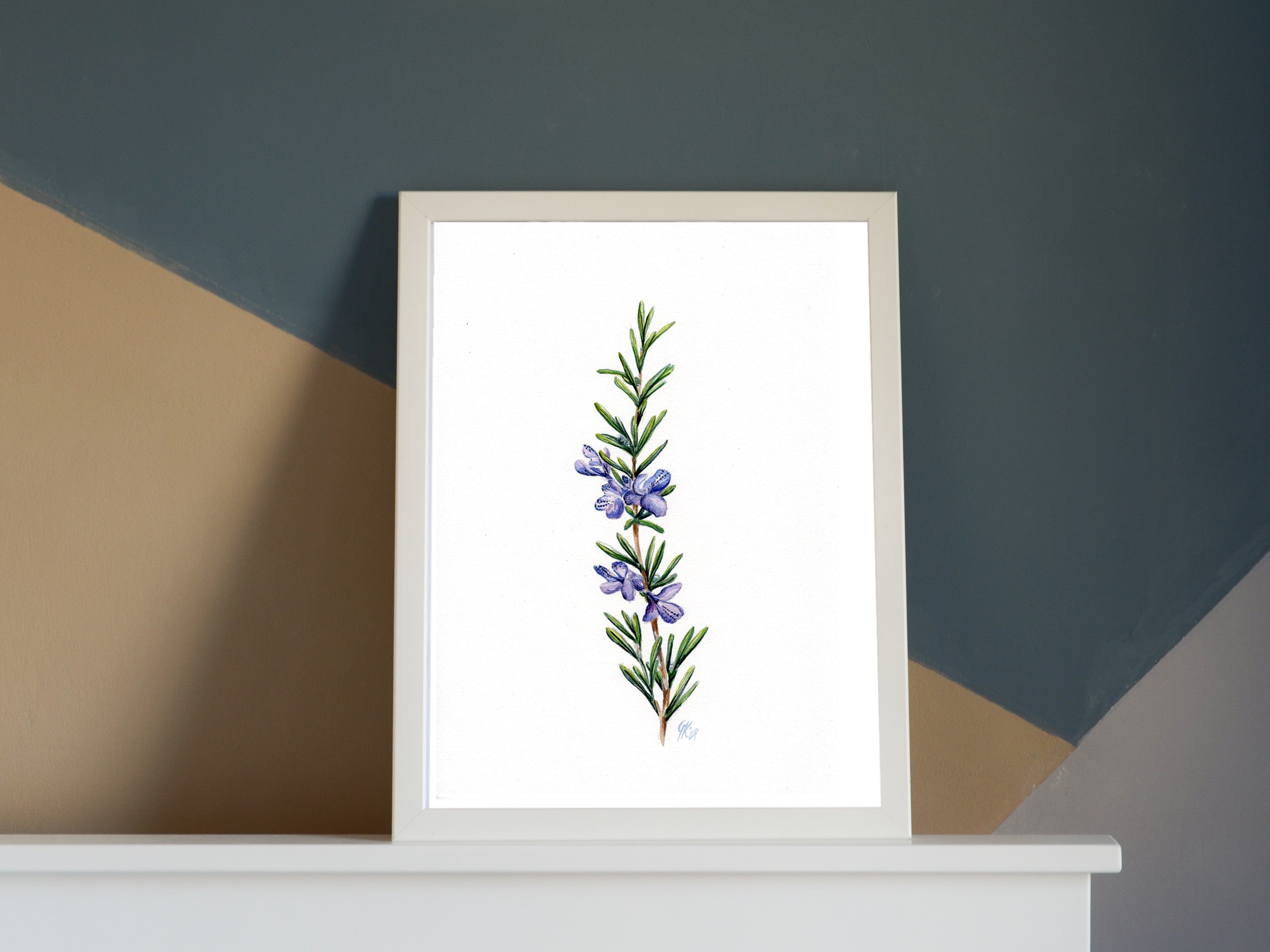 Rosmarin | Aquarell