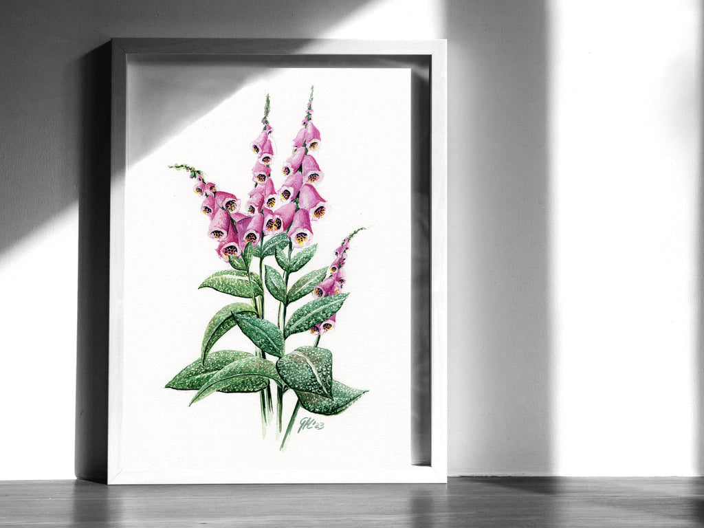 Roter Fingerhut | Aquarell