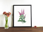 Roter Fingerhut | Aquarell