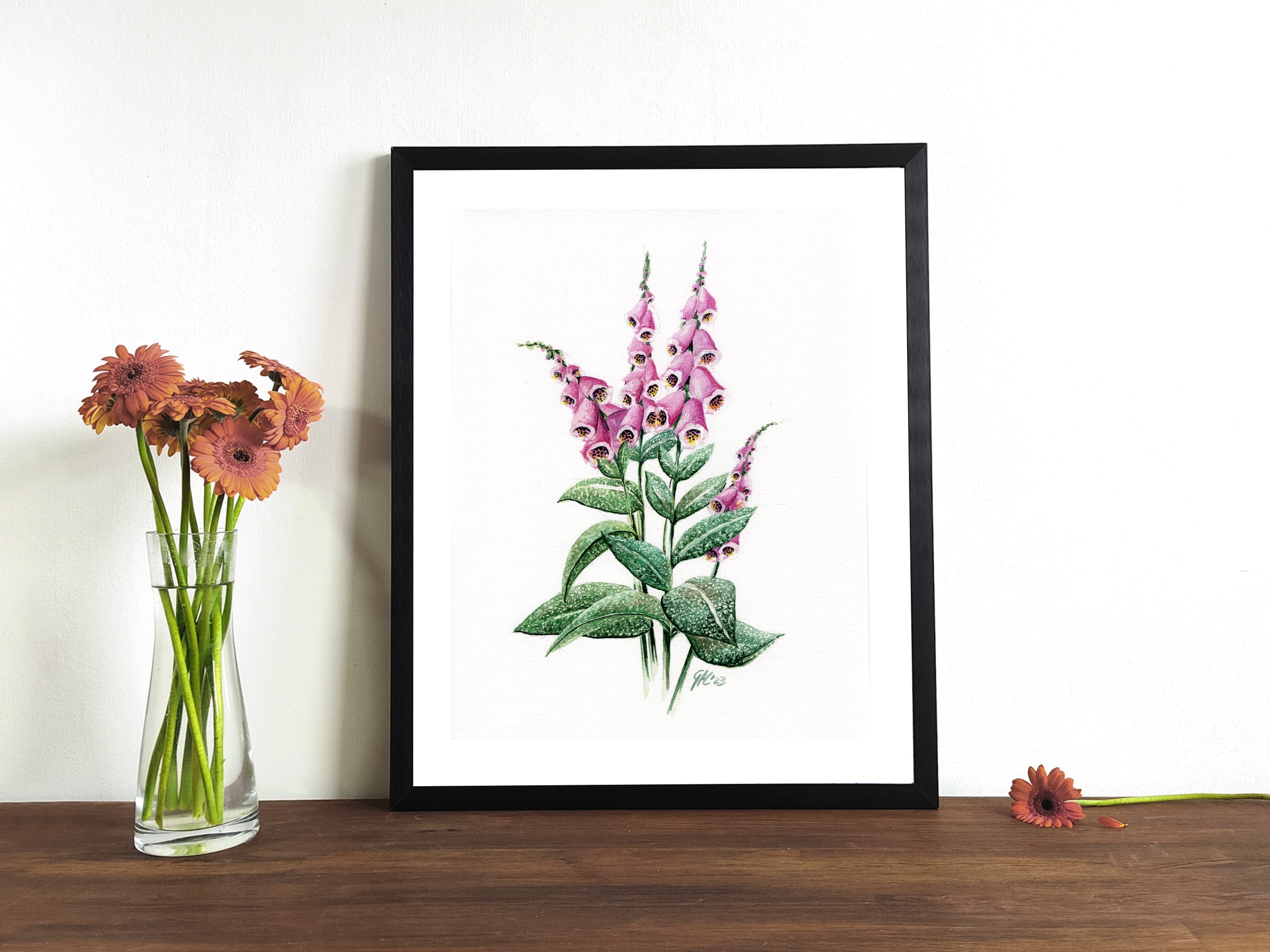 Roter Fingerhut | Aquarell