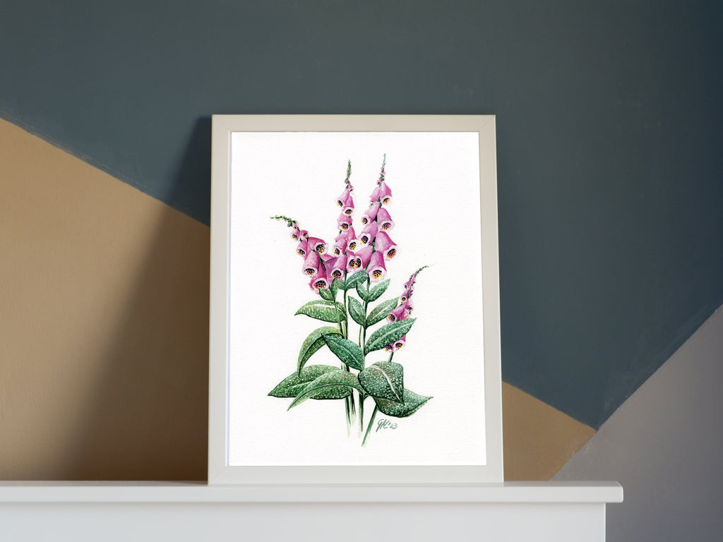 Roter Fingerhut | Aquarell