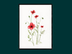 Sand-Mohn | Aquarell