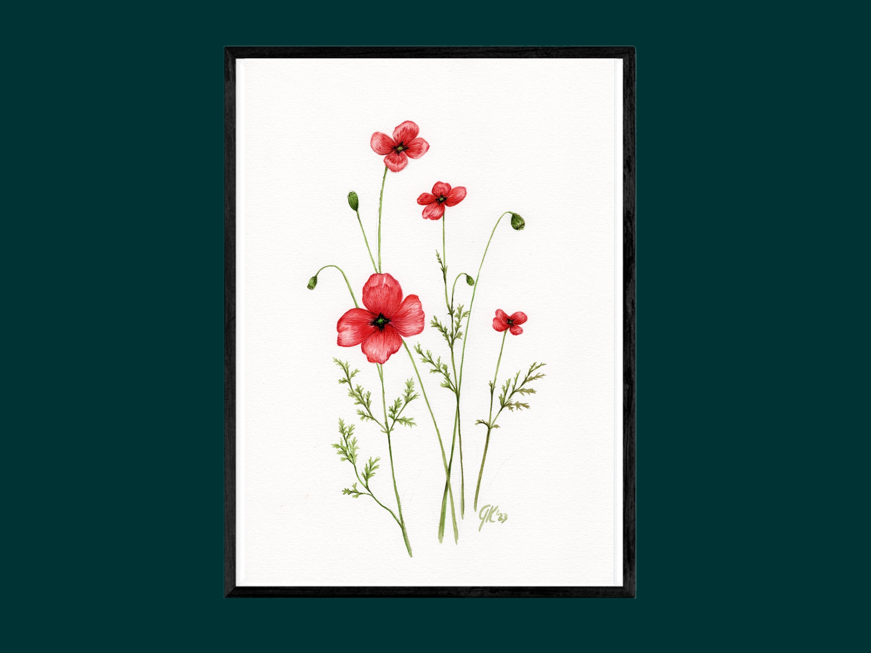 Sand-Mohn | Aquarell