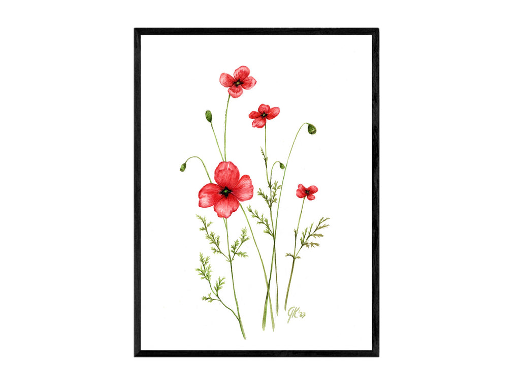 Sand-Mohn | Aquarell