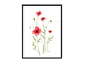 Sand-Mohn | Aquarell