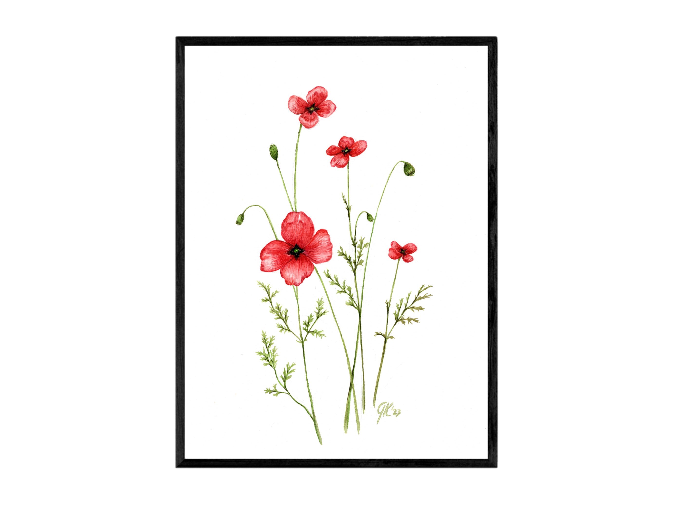 Sand-Mohn | Aquarell