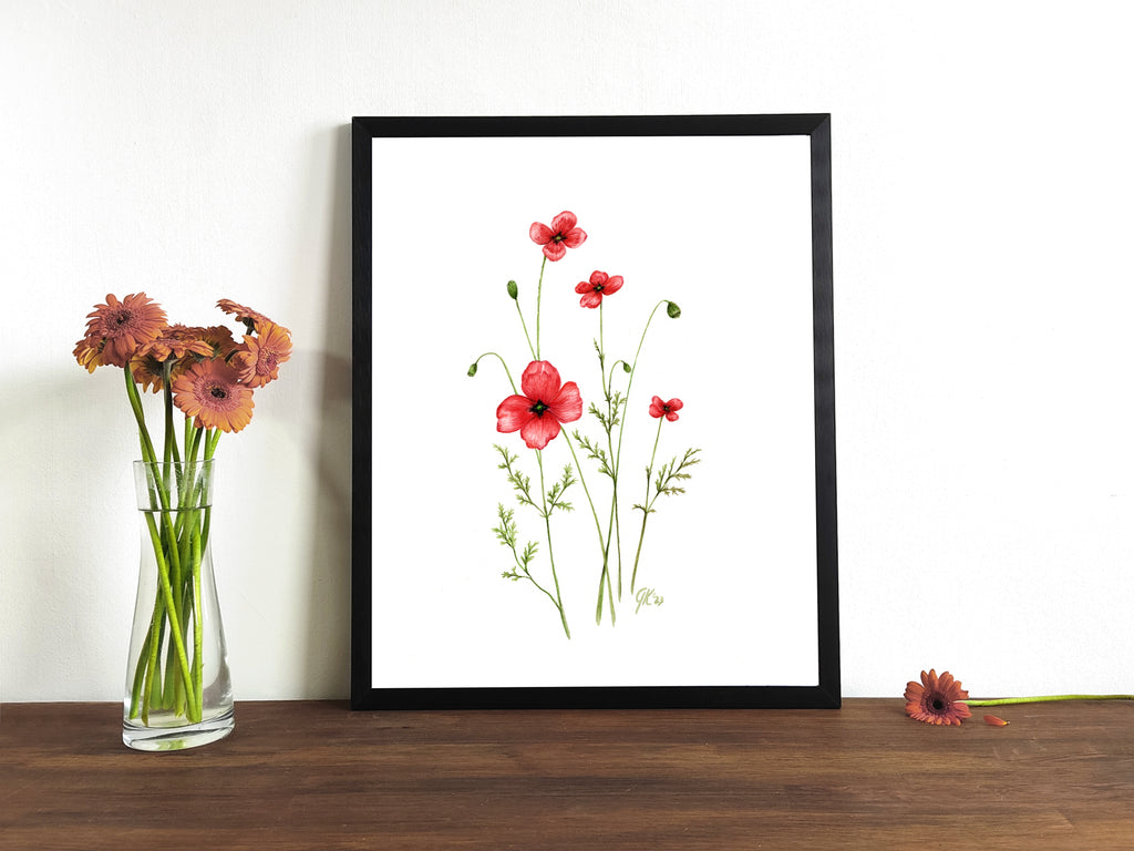 Sand-Mohn | Aquarell