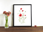 Sand-Mohn | Aquarell