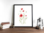 Sand-Mohn | Aquarell
