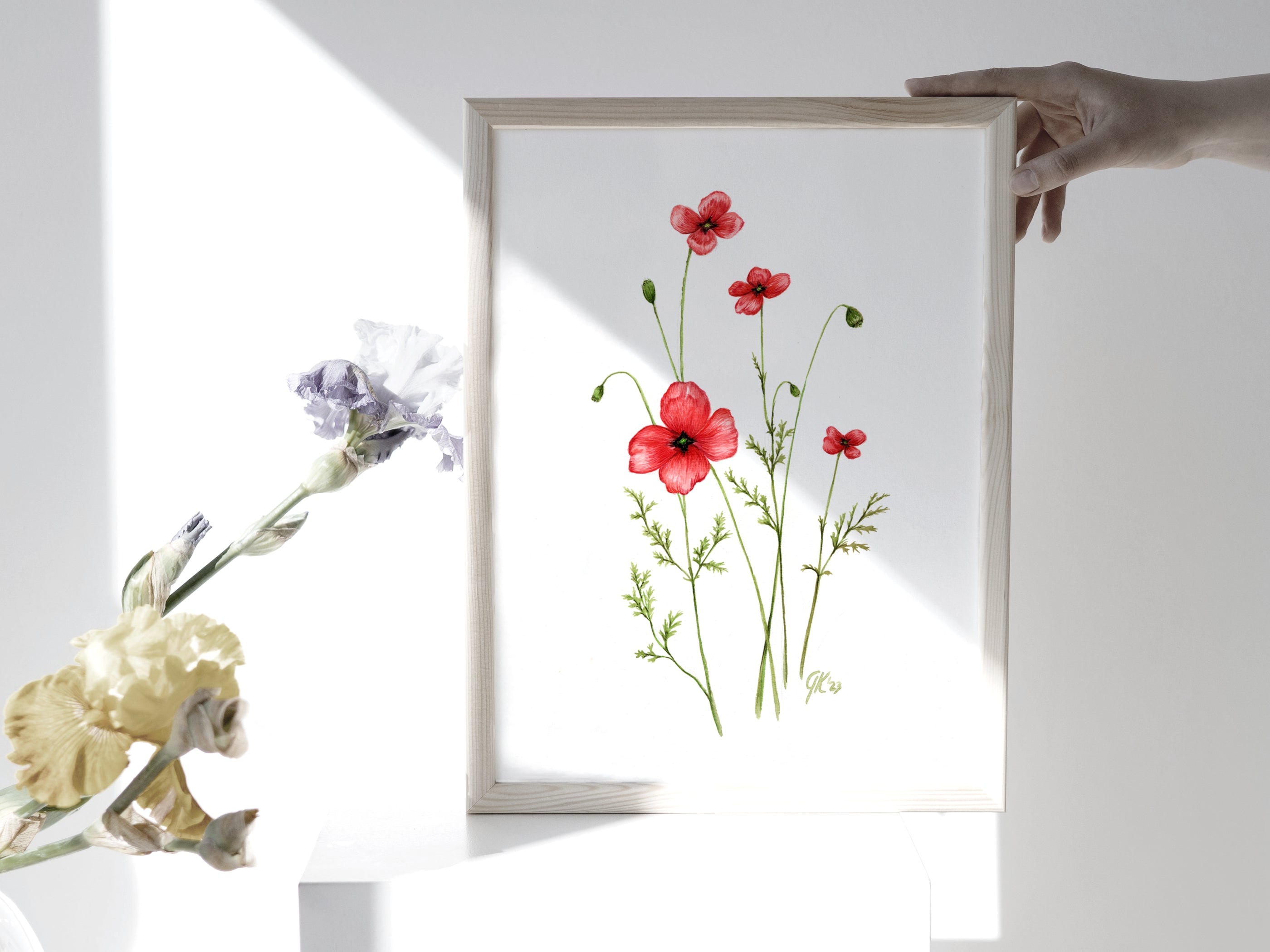 Sand-Mohn | Aquarell