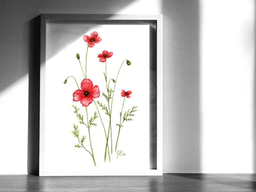 Sand-Mohn | Aquarell