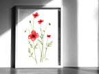 Sand-Mohn | Aquarell