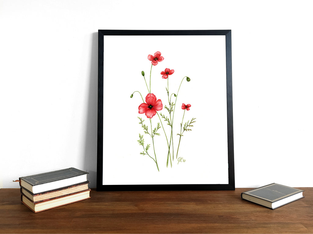 Sand-Mohn | Aquarell