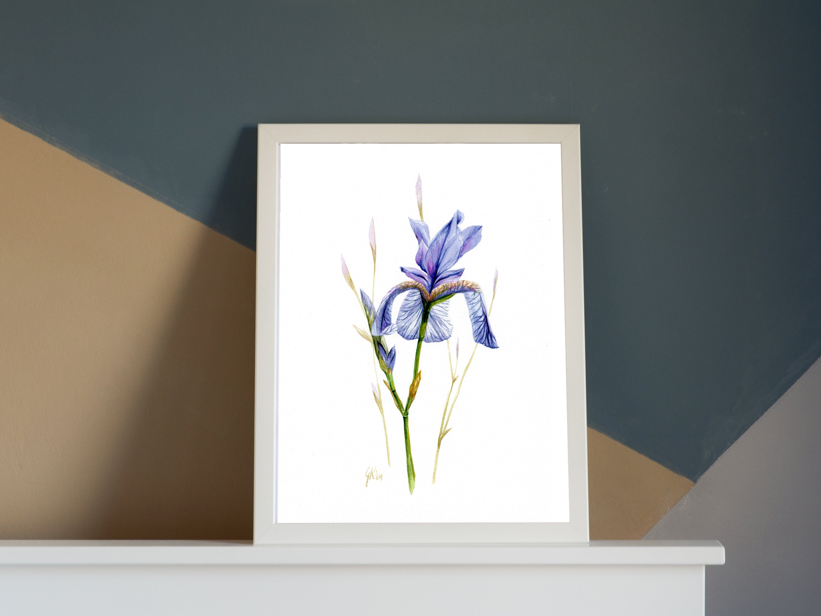 Sibirische Schwertlilie | Aquarell