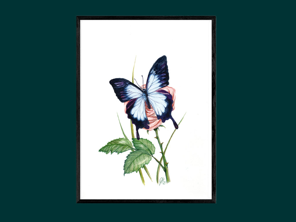 Blauer Ulysses | Aquarell