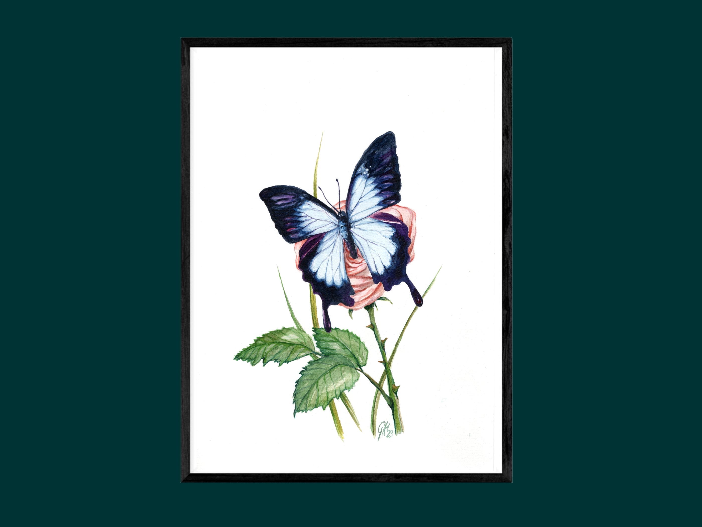 Blauer Ulysses | Aquarell