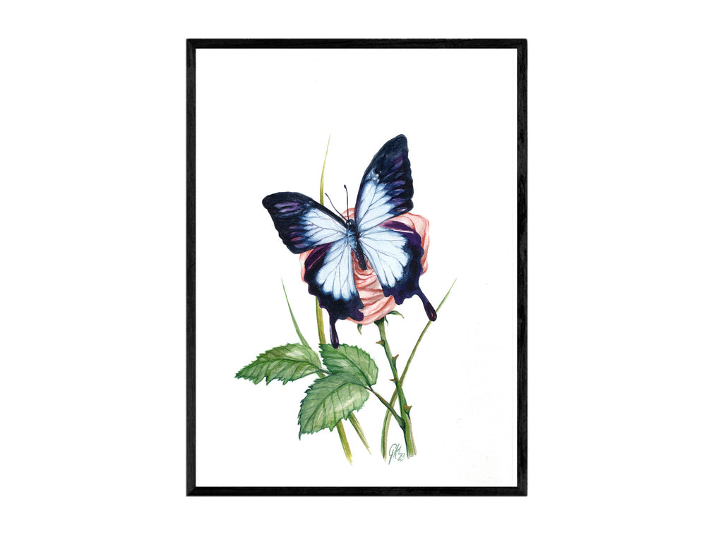 Blauer Ulysses | Aquarell