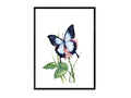 Blauer Ulysses | Aquarell