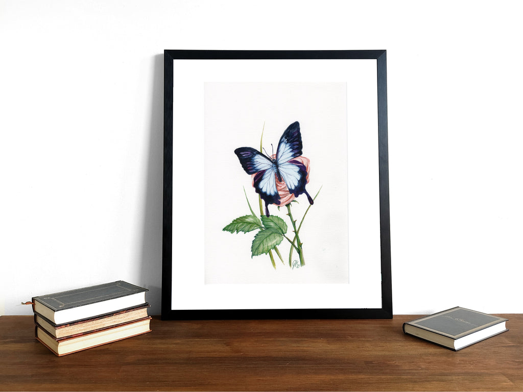 Blauer Ulysses | Aquarell