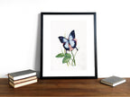 Blauer Ulysses | Aquarell