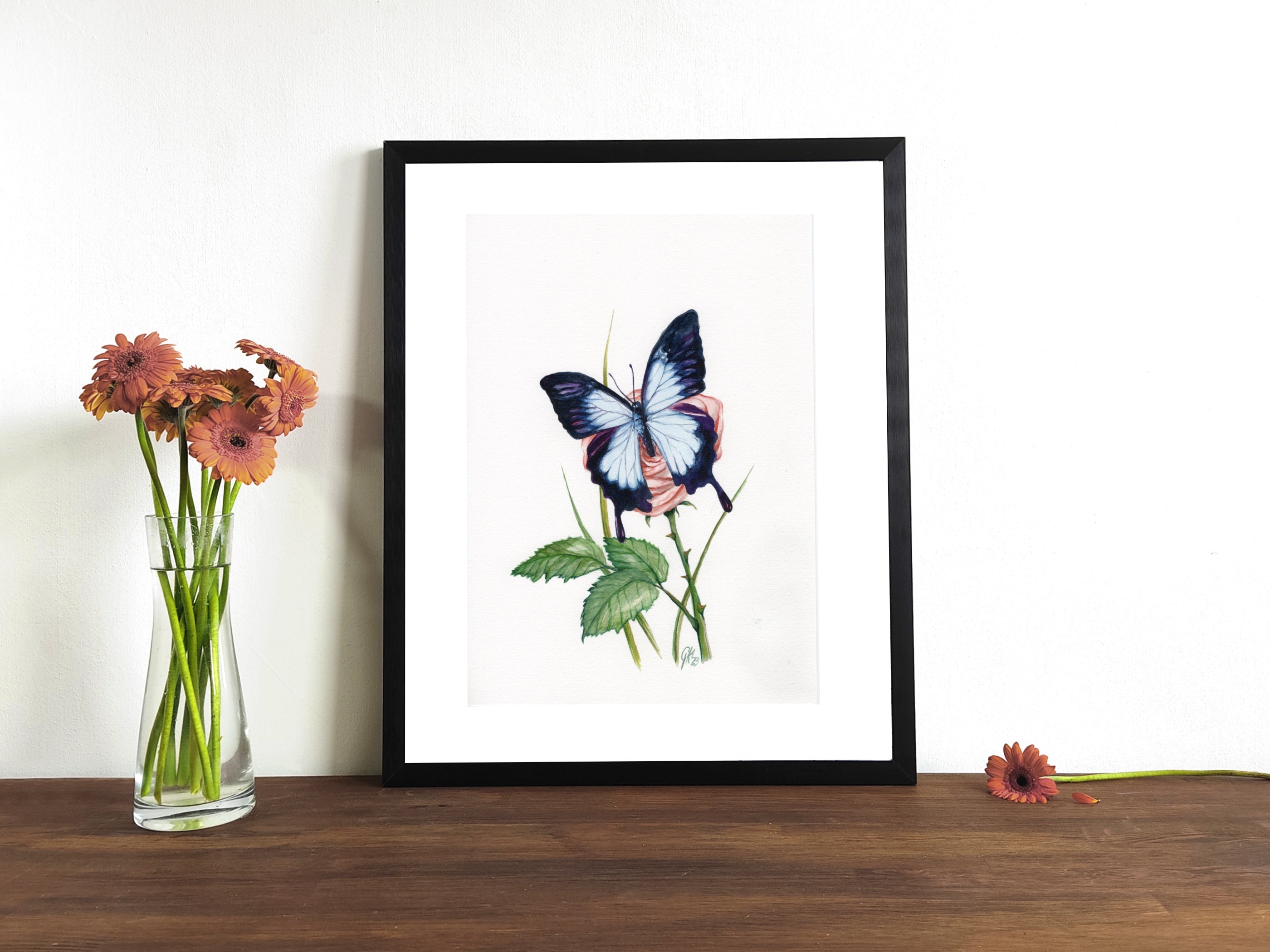 Blauer Ulysses | Aquarell