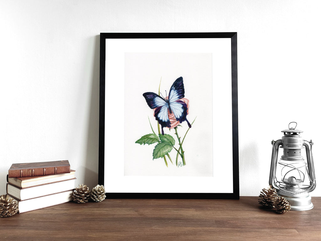Blauer Ulysses | Aquarell