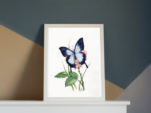 Blauer Ulysses | Aquarell