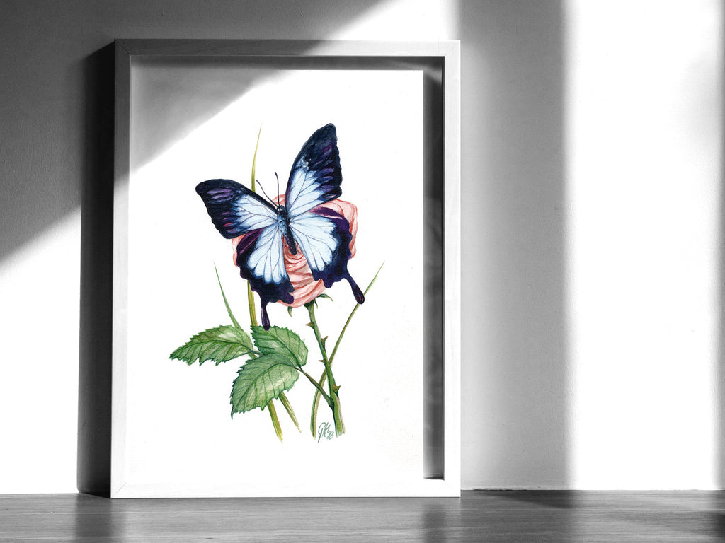 Blauer Ulysses | Aquarell