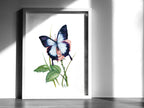 Blauer Ulysses | Aquarell