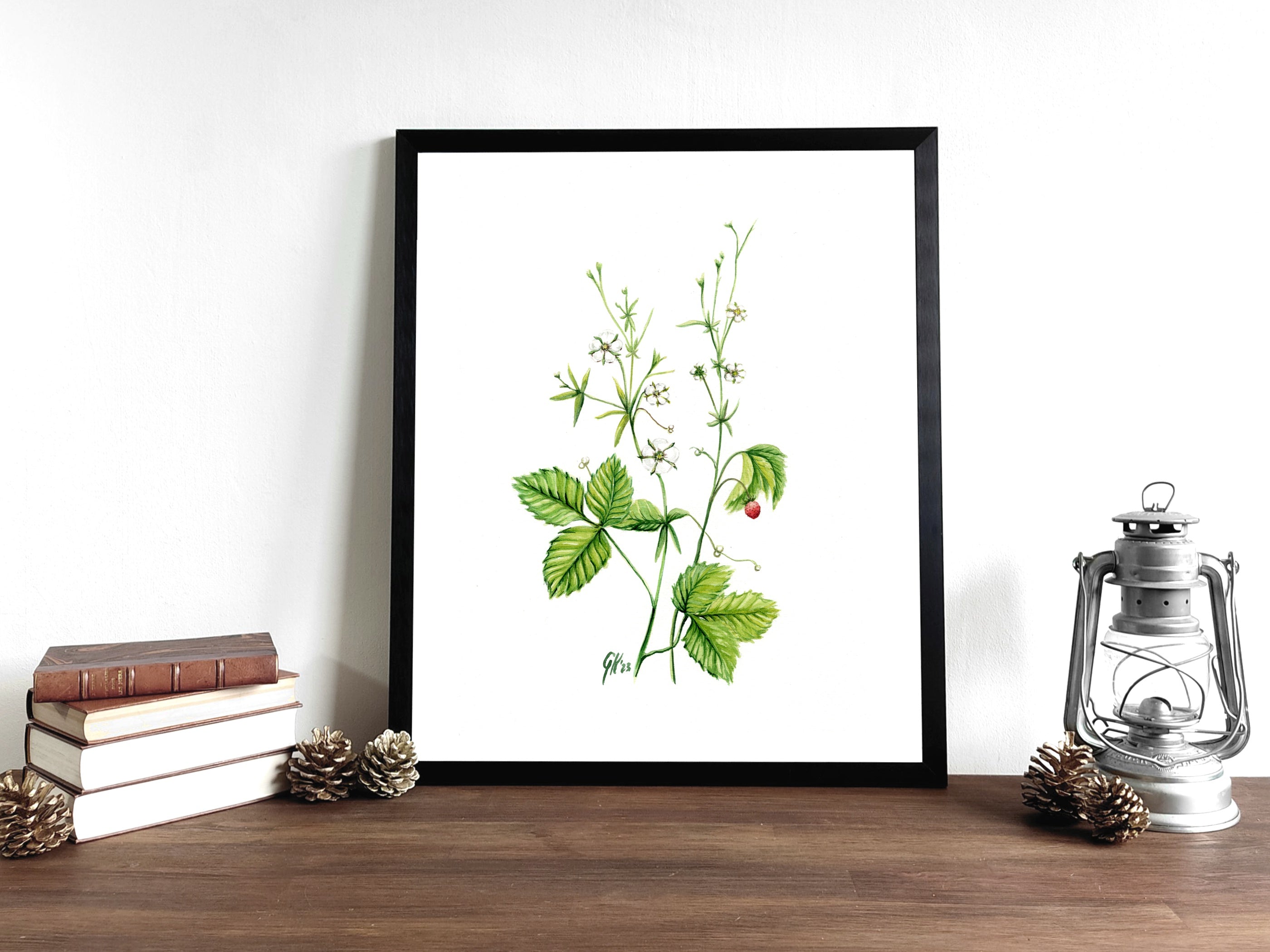 Walderdbeere | Aquarell