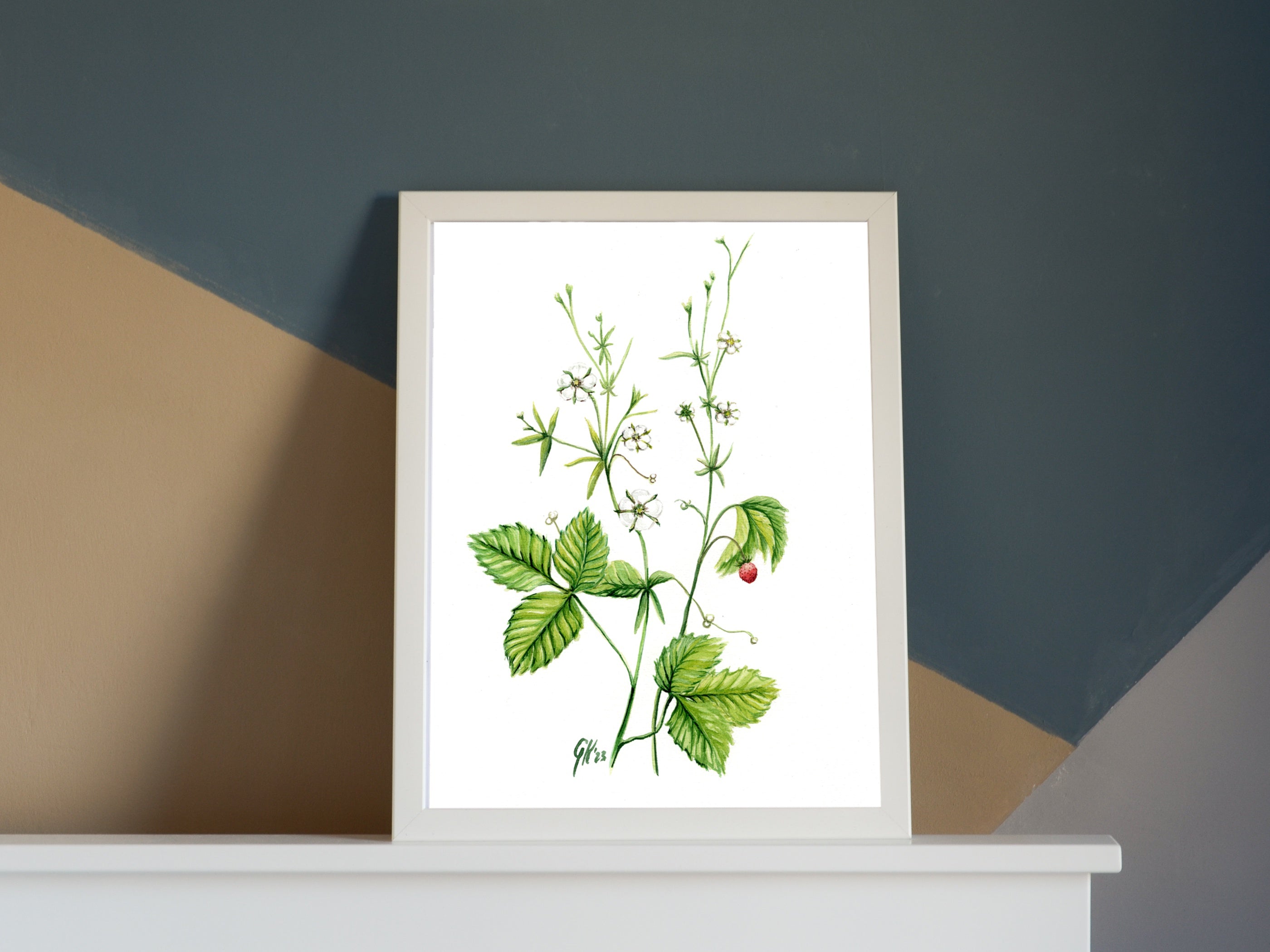 Walderdbeere | Aquarell