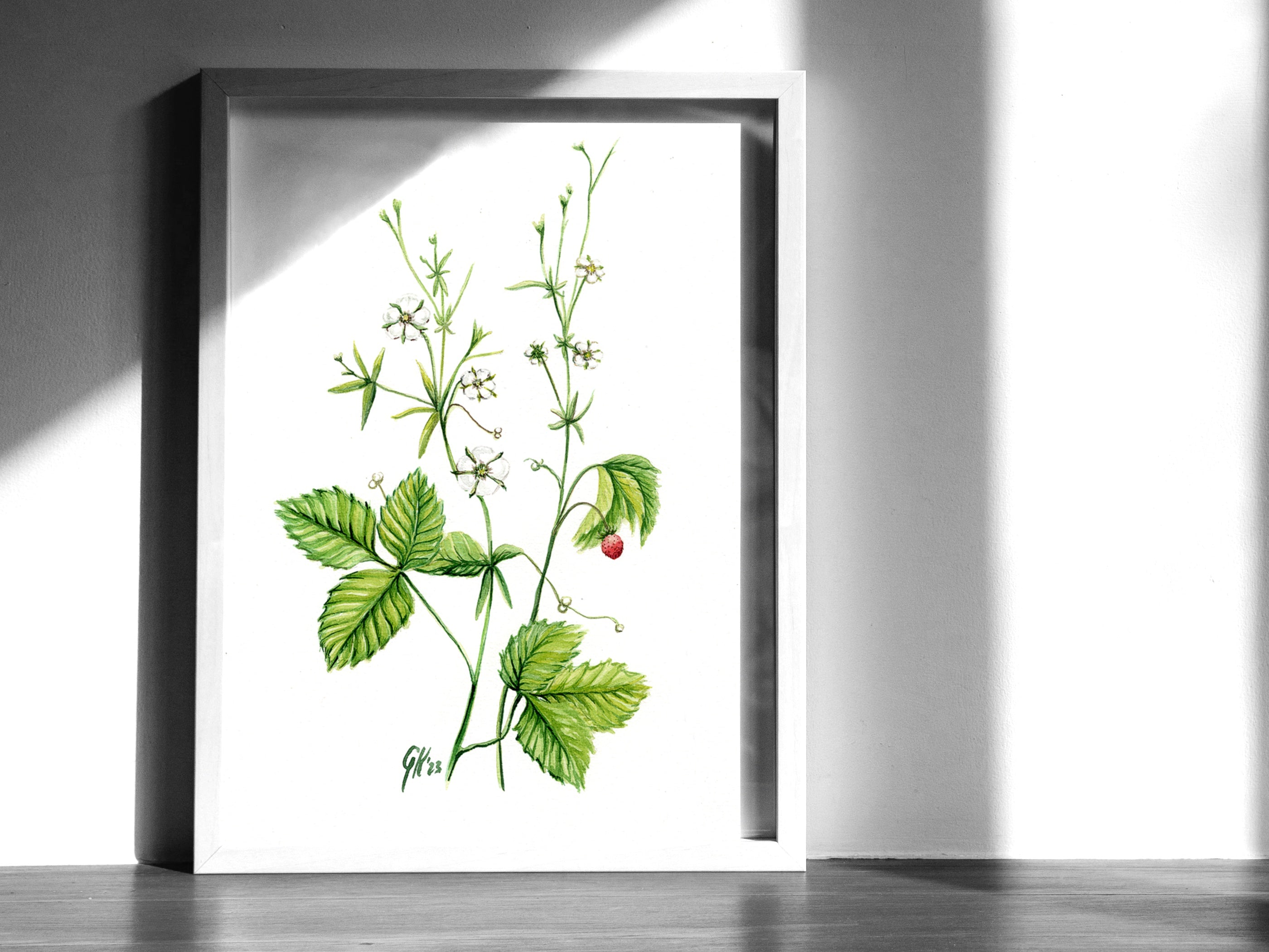Walderdbeere | Aquarell