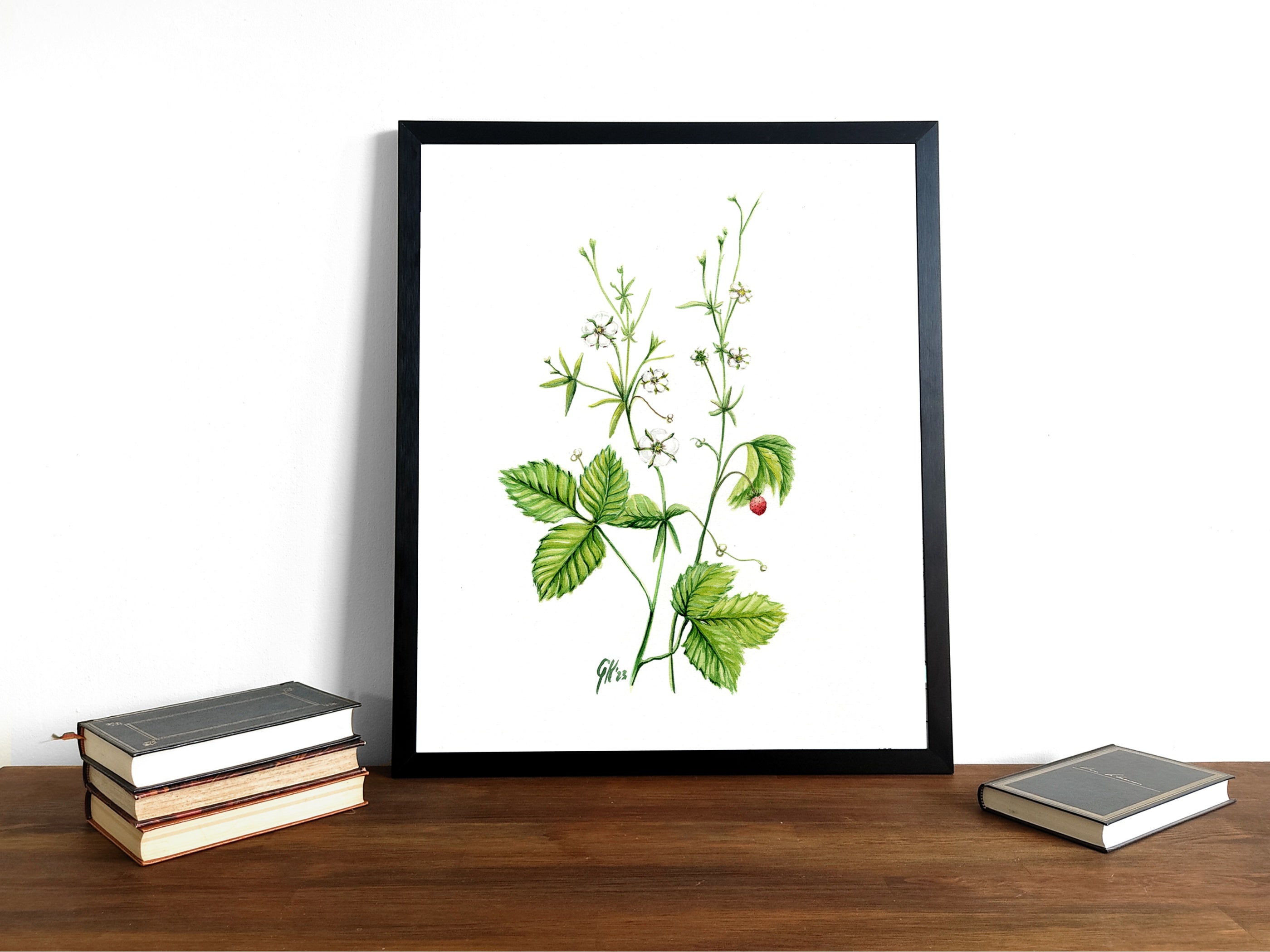 Walderdbeere | Aquarell